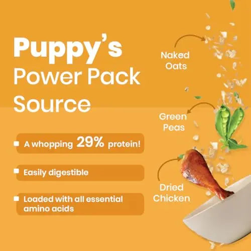 Bark Out Loud by Vivaldis - Chicken & Ancient Grains Puppy Dry Dog Food for All Breeds, Rich in Chicken Protein, Nutrients, Antioxidant and Growth Herbs, 2kg Pack BARK OUT LOUD