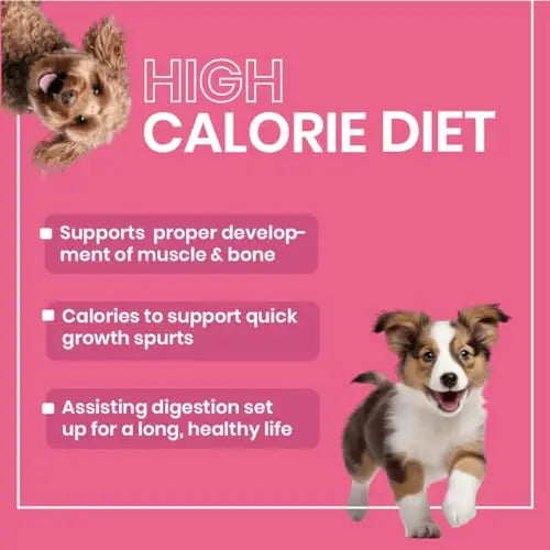 High calorie sales dry dog food