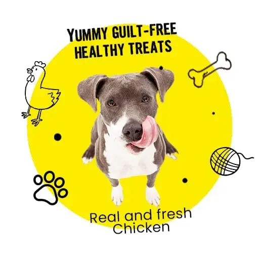 Bark Out Loud by Vivaldis Hemp Chewstix. Fresh Chicken Treats Packed Omega 3 Fatty Acids, & Vitamin E for Healthy Skin & Coat Dogs & Cats. Pack of 2 BARK OUT LOUD
