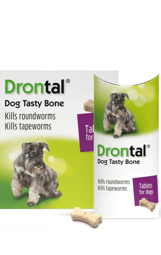 Bayer Drontal Plus Tasty Dog Deworming 6Tablet Amanpetshop-