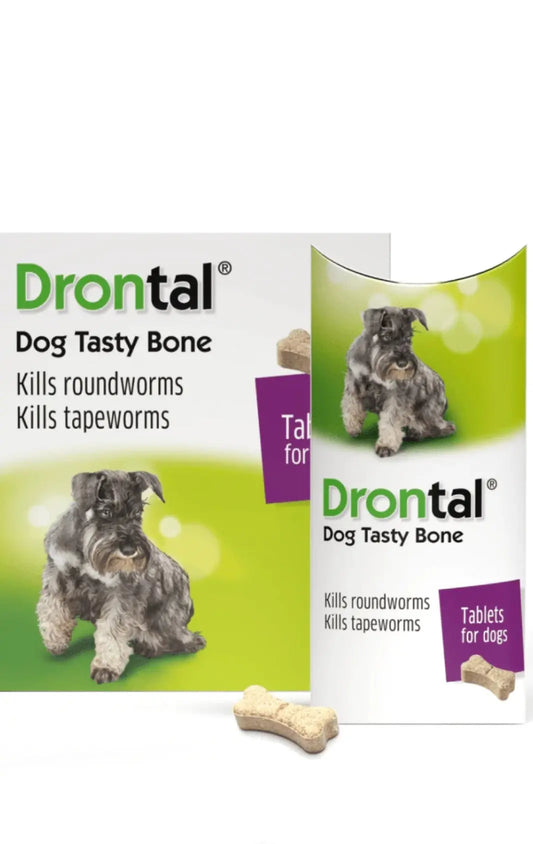 Bayer Drontal Plus Tasty Dog Deworming 6Tablet Amanpetshop-
