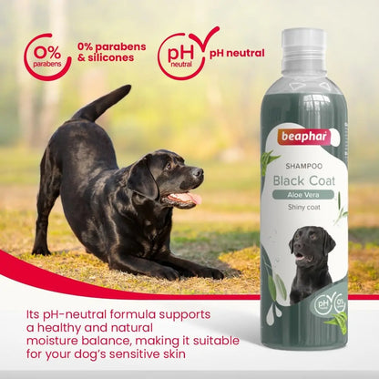 Beaphar Black Coat Dog Shampoo with Aloe Vera | Herbal Shampoo for Black Dog - 250 ML Beaphar