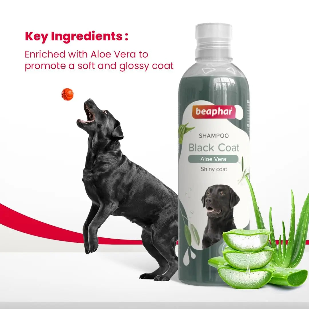 Beaphar Black Coat Dog Shampoo with Aloe Vera | Herbal Shampoo for Black Dog - 250 ML Beaphar