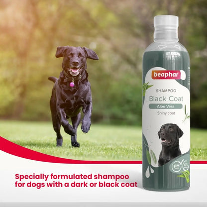 Beaphar Black Coat Dog Shampoo with Aloe Vera | Herbal Shampoo for Black Dog - 250 ML Beaphar