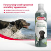 Beaphar Black Coat Dog Shampoo with Aloe Vera | Herbal Shampoo for Black Dog - 250 ML Beaphar