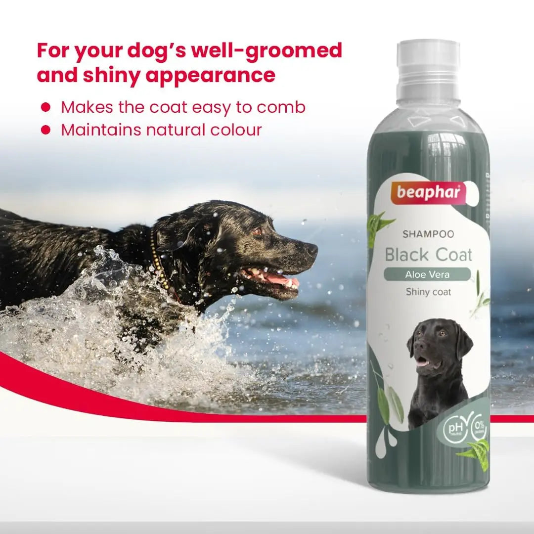 Beaphar Black Coat Dog Shampoo with Aloe Vera | Herbal Shampoo for Black Dog - 250 ML Beaphar