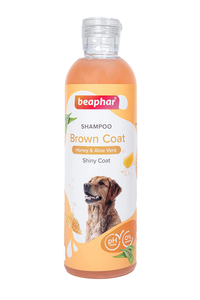 Beaphar Brown Coat Dog Shampoo with Honey and Aloe Vera | Soft & Glossy Coat | Made Safe for Labrador, Golden Retriever, Shih Tzu | All Natural | Herbal Shampoo for Dogs- 250 ml Beaphar