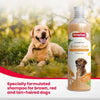 Beaphar Brown Coat Dog Shampoo with Honey and Aloe Vera | Soft & Glossy Coat | Made Safe for Labrador, Golden Retriever, Shih Tzu | All Natural | Herbal Shampoo for Dogs- 250 ml Beaphar
