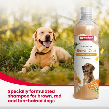 Beaphar Brown Coat Dog Shampoo with Honey and Aloe Vera | Soft & Glossy Coat | Made Safe for Labrador, Golden Retriever, Shih Tzu | All Natural | Herbal Shampoo for Dogs- 250 ml Beaphar