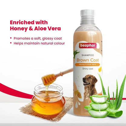 Beaphar Brown Coat Dog Shampoo with Honey and Aloe Vera | Soft & Glossy Coat | Made Safe for Labrador, Golden Retriever, Shih Tzu | All Natural | Herbal Shampoo for Dogs- 250 ml Beaphar