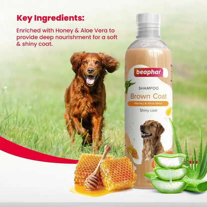 Beaphar Brown Coat Dog Shampoo with Honey and Aloe Vera | Soft & Glossy Coat | Made Safe for Labrador, Golden Retriever, Shih Tzu | All Natural | Herbal Shampoo for Dogs- 250 ml Beaphar