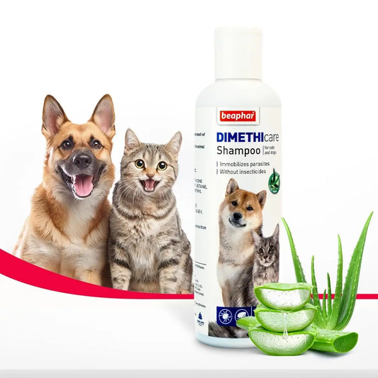 Beaphar DIMETHIcare Shampoo for Dogs and Cats | Ticks, Fleas and Biting Lice Remover Shampoo with Dimethicone and Aloe Vera - 200 ML Beaphar