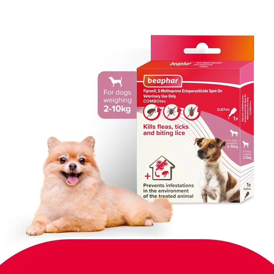 Beaphar Flea & Tick Spot On Combotec Fipronil/s-Methoprene | Kills Fleas, Ticks and Biting Lice | 0.67 ML Single Pipette for Small Dog Beaphar