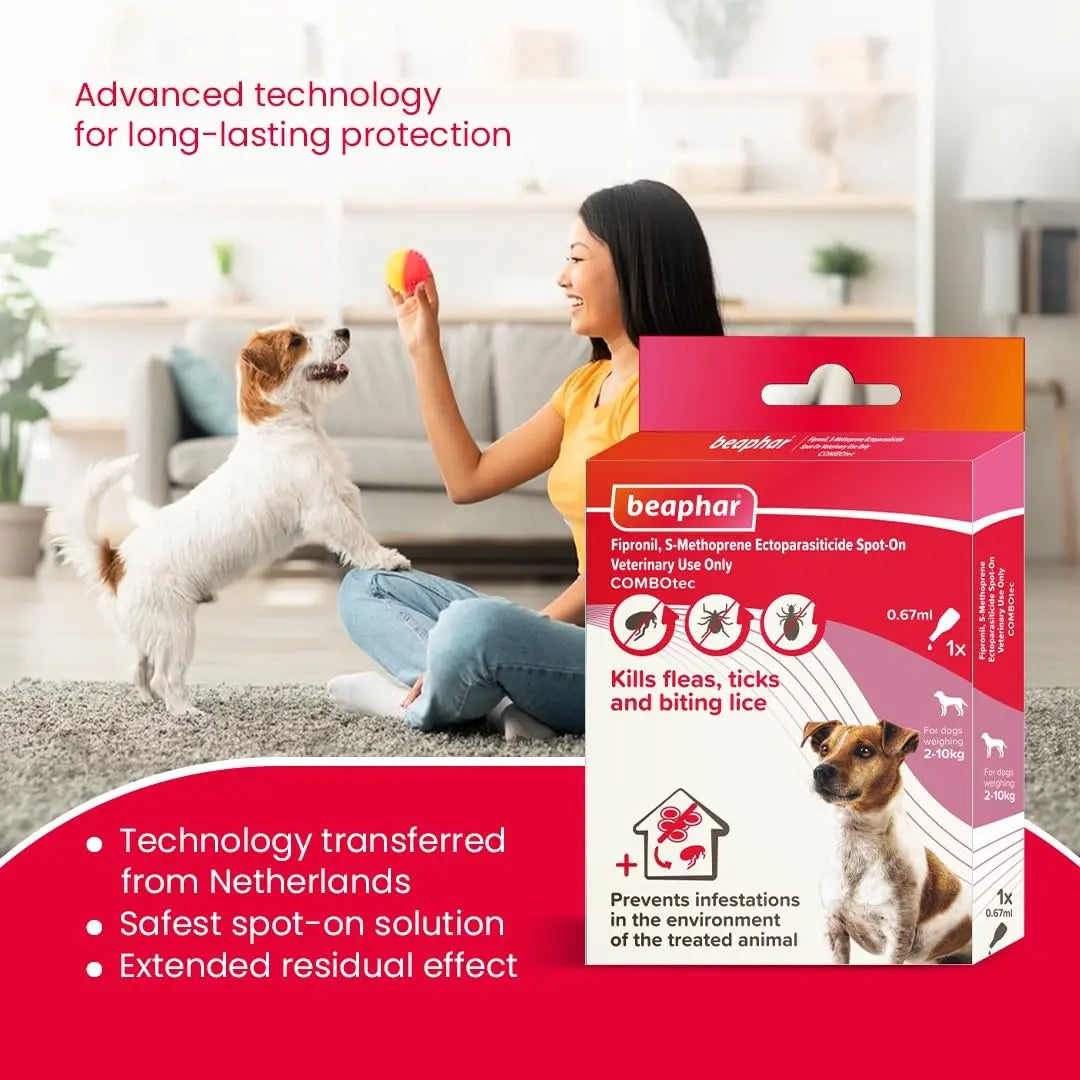 Beaphar FIPROtec COMBO For Small Dogs (2-10kg) | Flea & Tick Treatment | Vet Strength | 3 Pipettes | Buy Now With Express International Delivery