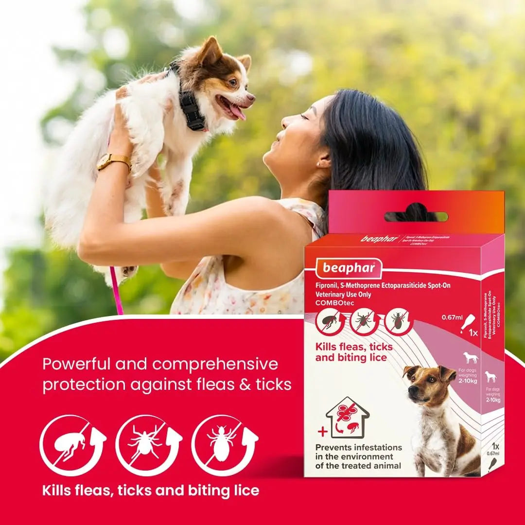 Beaphar Flea & Tick Spot On Combotec Fipronil/s-Methoprene | Kills Fleas, Ticks and Biting Lice | 0.67 ML Single Pipette for Small Dog Beaphar