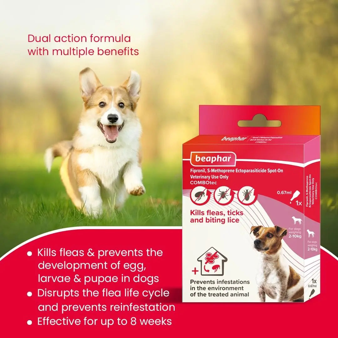 Beaphar Flea & Tick Spot On Combotec Fipronil/s-Methoprene | Kills Fleas, Ticks and Biting Lice | 0.67 ML Single Pipette for Small Dog Beaphar