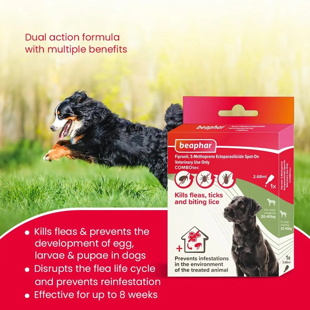 Beaphar Flea & Tick Spot On Combotec Fipronil/s-Methoprene | Kills Fleas, Ticks and Biting Lice | 2.68 ML Single Pipette for Large Dog Beaphar