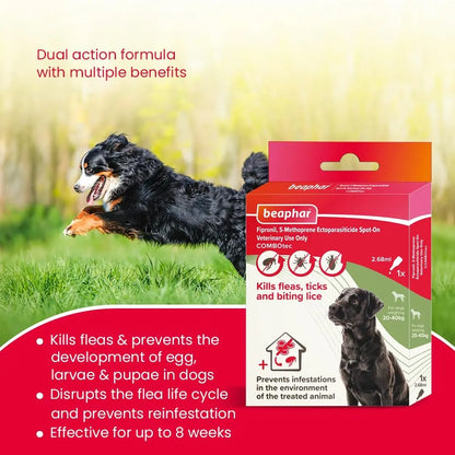 Beaphar Flea & Tick Spot On Combotec Fipronil/s-Methoprene | Kills Fleas, Ticks and Biting Lice | 2.68 ML Single Pipette for Large Dog Beaphar