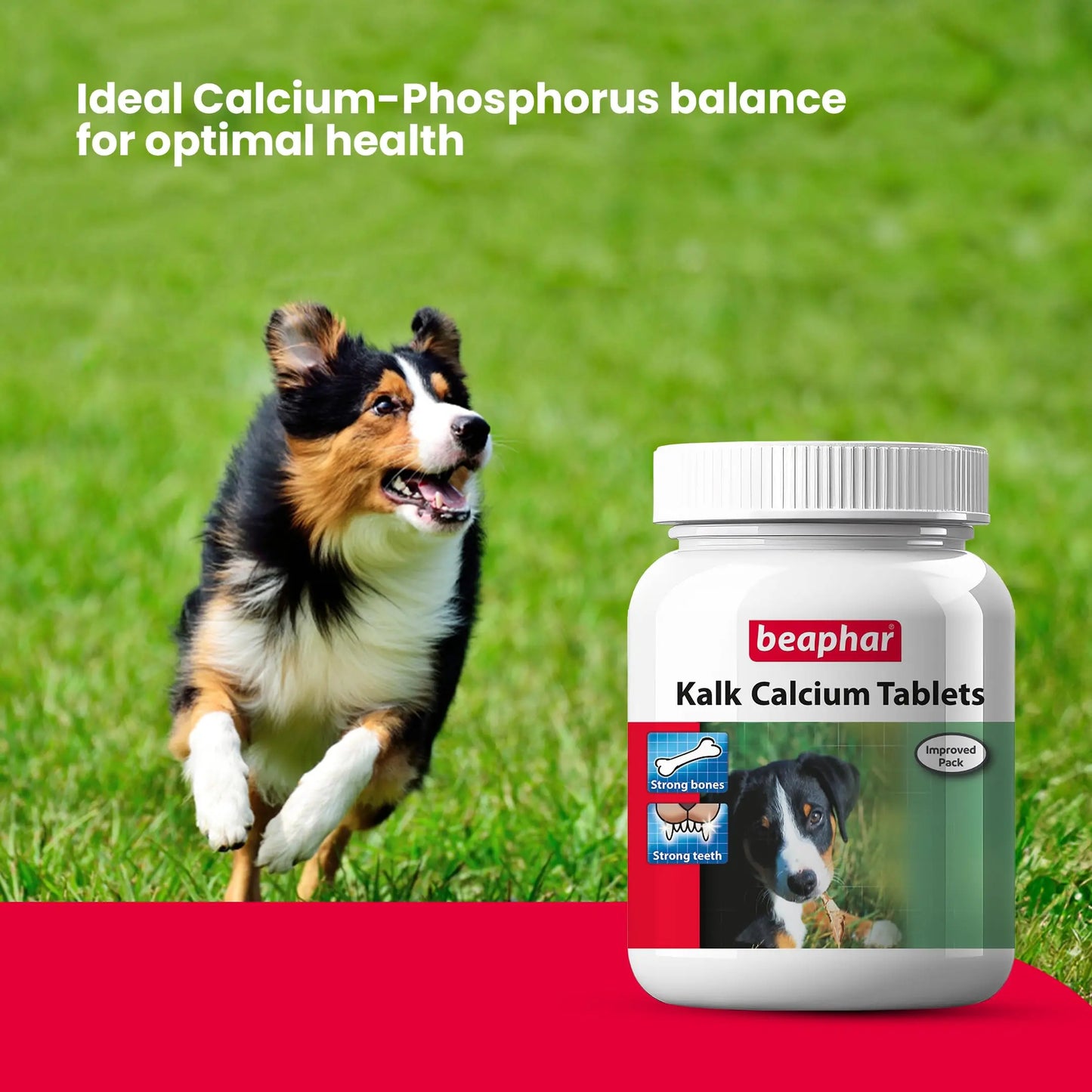 Beaphar Kalk Calcium 60 Tablets with Multivitamin Pet Supplement for Dog Strong Bones and Fast Growth (Pack of 2) Beaphar