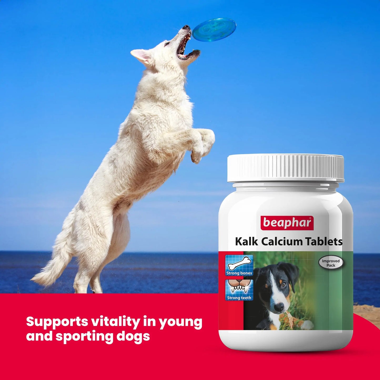 Beaphar Kalk Calcium 60 Tablets with Multivitamin Pet Supplement for Dog Strong Bones and Fast Growth (Pack of 2) Beaphar
