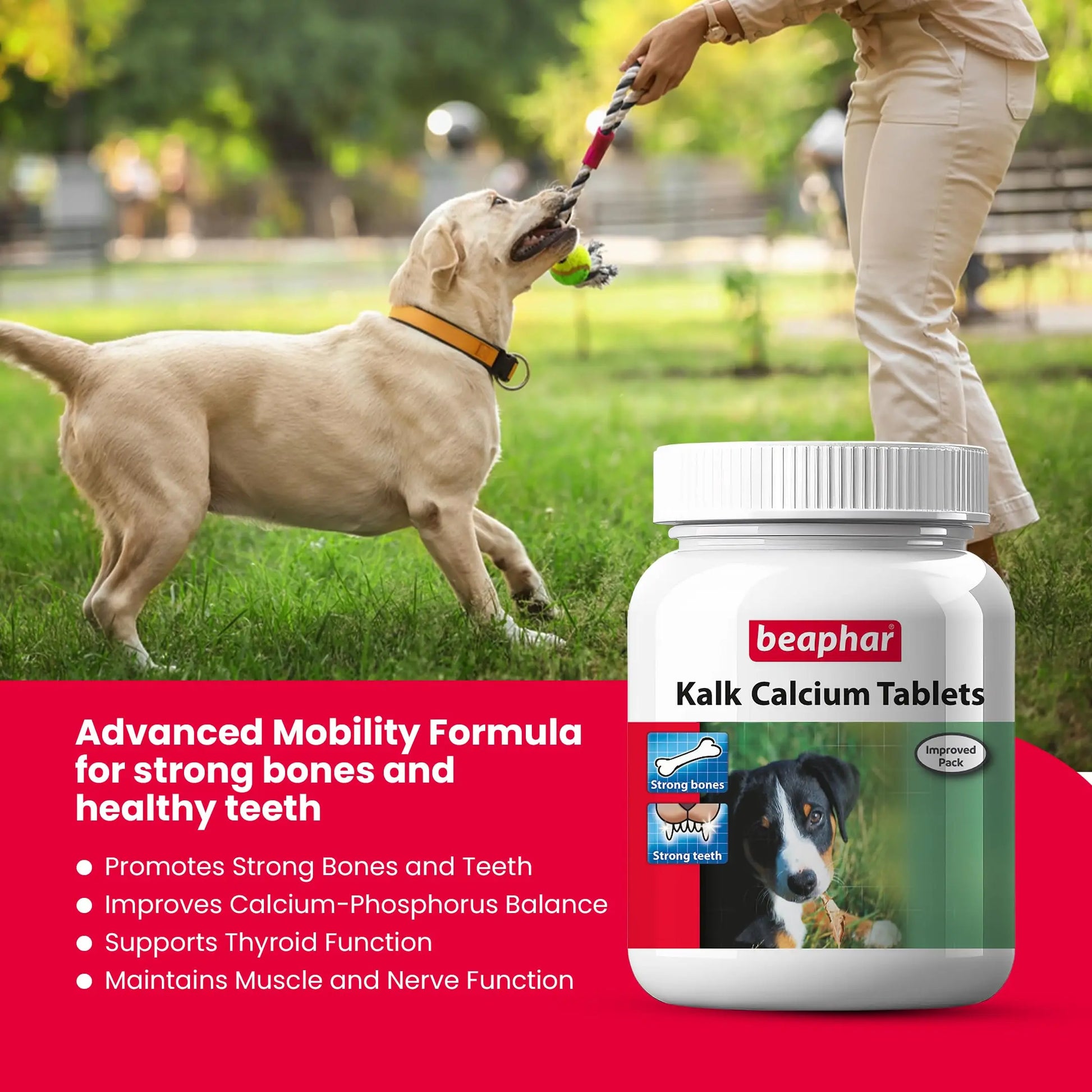 Beaphar Kalk Calcium 60 Tablets with Multivitamin Pet Supplement for Dog Strong Bones and Fast Growth (Pack of 2) Beaphar
