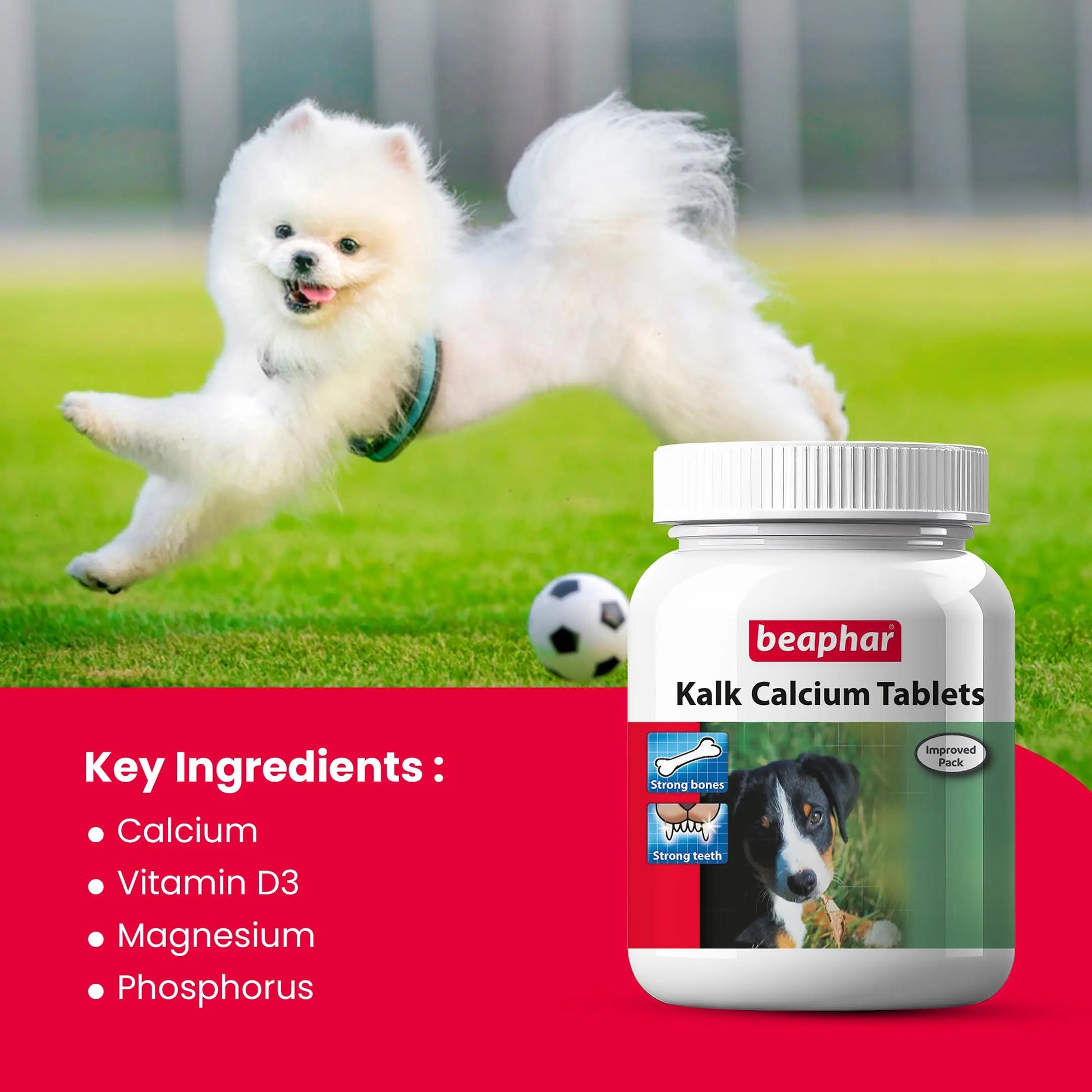Beaphar Kalk Calcium 60 Tablets with Multivitamin Pet Supplement for Dog Strong Bones and Fast Growth (Pack of 2) Beaphar