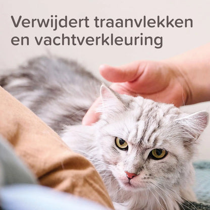 Beaphar Oftal Tear Stain Remover Pet Eyecare, 50 ml Beaphar