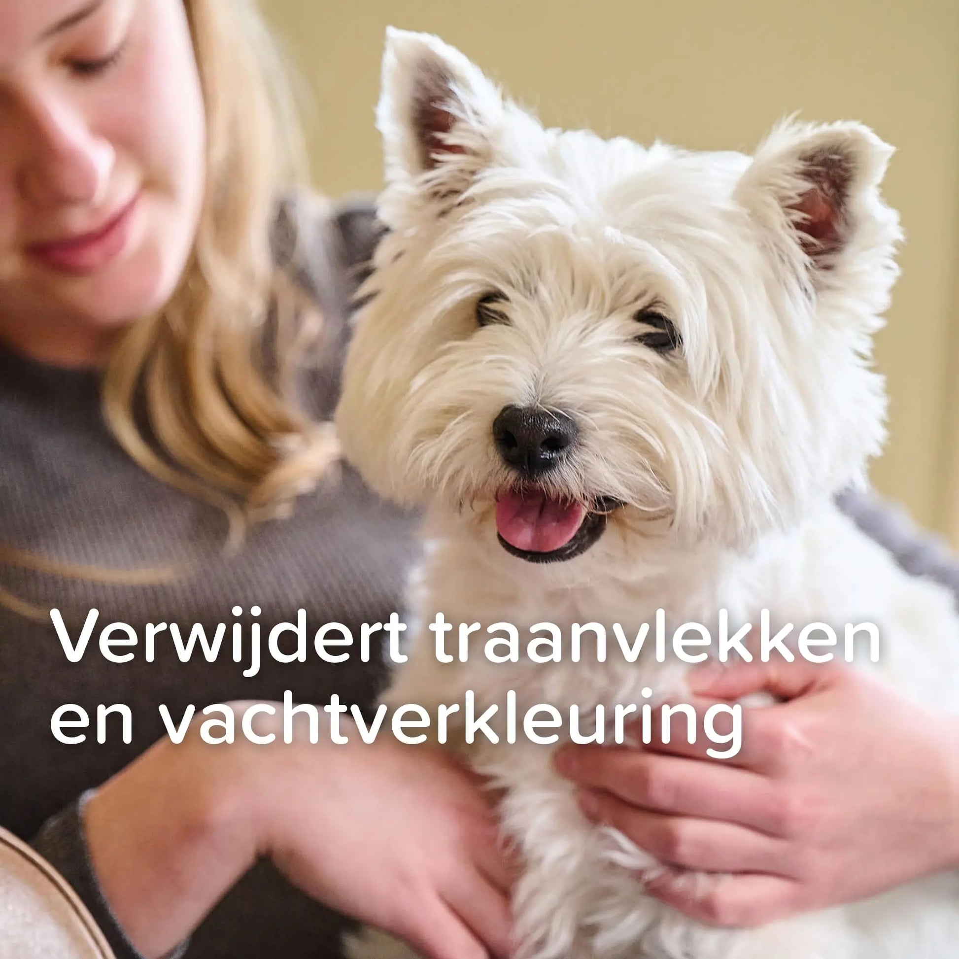 Beaphar Oftal Tear Stain Remover Pet Eyecare, 50 ml Beaphar