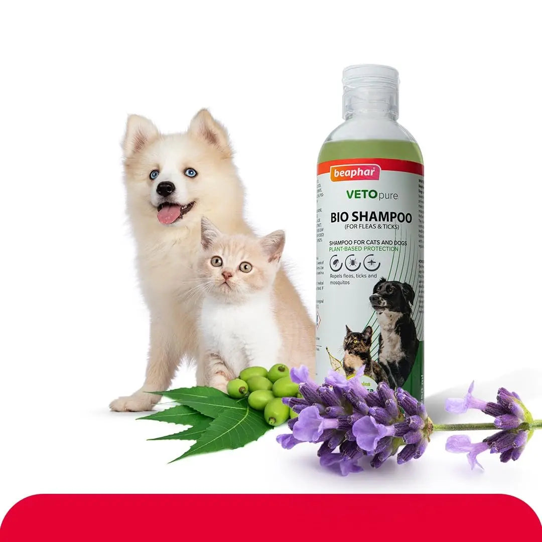 Beaphar Veto Pure BIO Shampoo for Dogs and Cats | Ticks, Fleas and Biting Lice Remover Shampoo with Margosa & Lavandin - 250 ML Beaphar