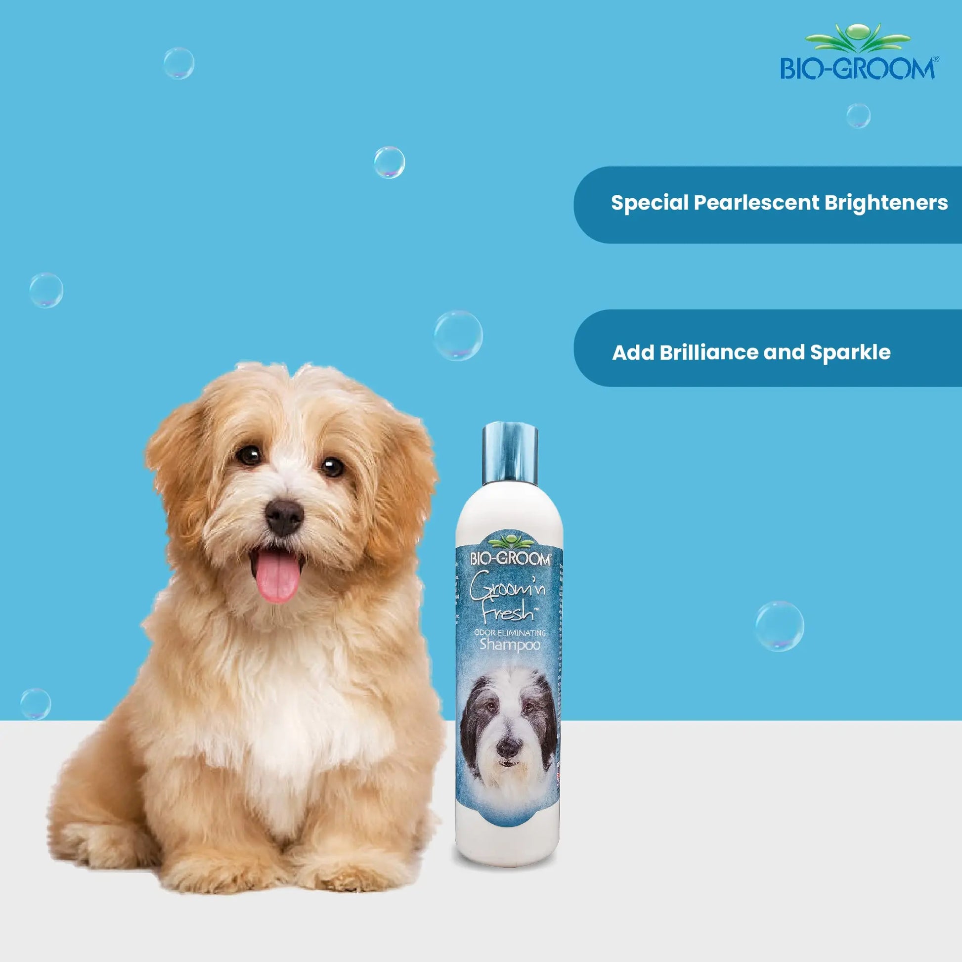 Biogroom Groom N Fresh Odour Eliminating Conditioning Sulfate-Free Dog Grooming Shampoo Unique Fragrance of Finest Perfume Oils for Healing, Soothing and Hydrating Dog Coat, 355ml Bio-groom