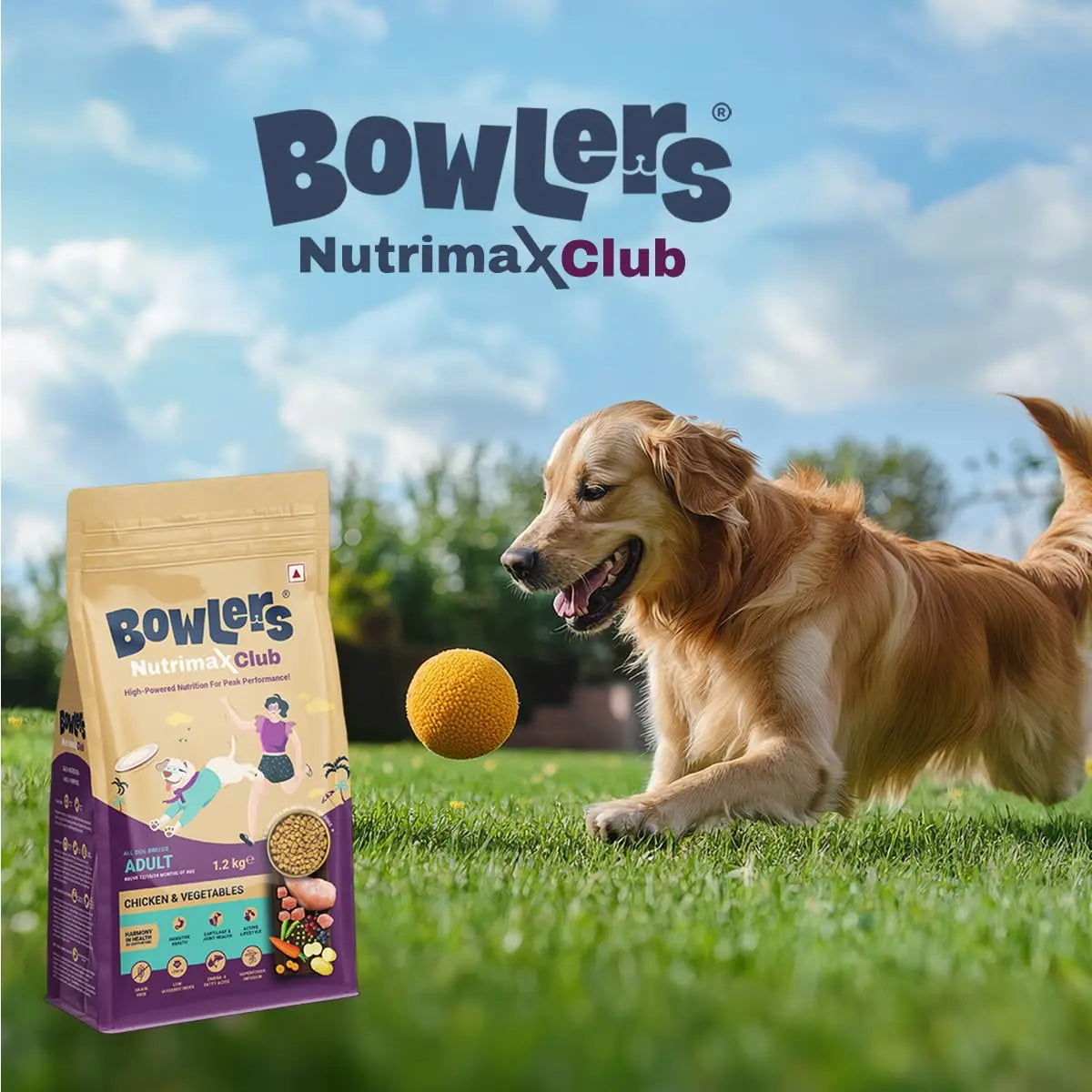 Bowlers Nutrimax Club Adult Dry Dog Food | Chicken & Vegetables | 1.2 Kg |100% Grain Free | 40% Reduction in Cell Damage | Reduced Risk of Diabetes | 3X Reduction in Stool Odour Bowlers