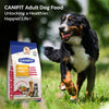 CANIFIT Adult Dog Food (Chicken & Vegetables) 3 KG- Pet Food for All Breed Sizes, Dog Dry Food, Helps in Healthy Digestion & Maintain Healthy Skin and Coat- Energy Booster for Your Dog. CANIFIT