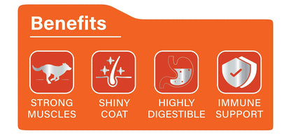 CANIFIT Adult Dog Food (Chicken) 3 KG- Chicken Food for Dogs, Helps Build Strong Muscles & Shiny Coat for Your Dog- Dog Dry Food for All Breed Sizes. CANIFIT