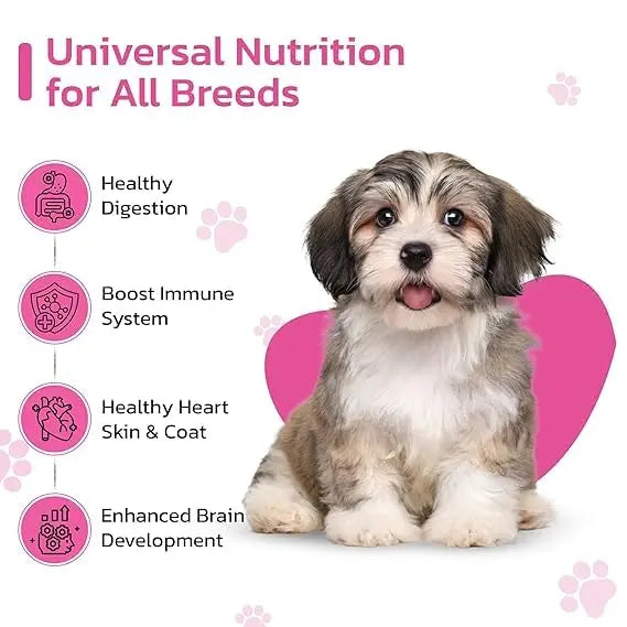 CANIFIT Puppy Dog Food (Chicken & Milk) 20 KG- Enriched with Chicken and Milk for Healthy Growth, Ideal for Puppy Dogs- Pet Food for All Breed Dogs CANIFIT