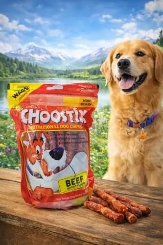 Choostix Beef Dog Treat, 450g CHOOSTIX