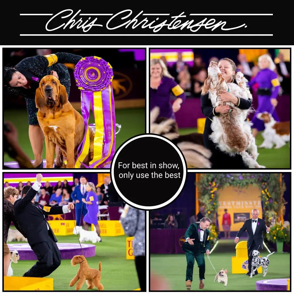 Chris Christensen Day To Day Ultra Concentrated Dog Shampoo, Makes Up To 8 Bottles, Groom Like A Professional, Moisturizing, All Coat Types, For Daily Use, 473 Milliliter Chris Christensen