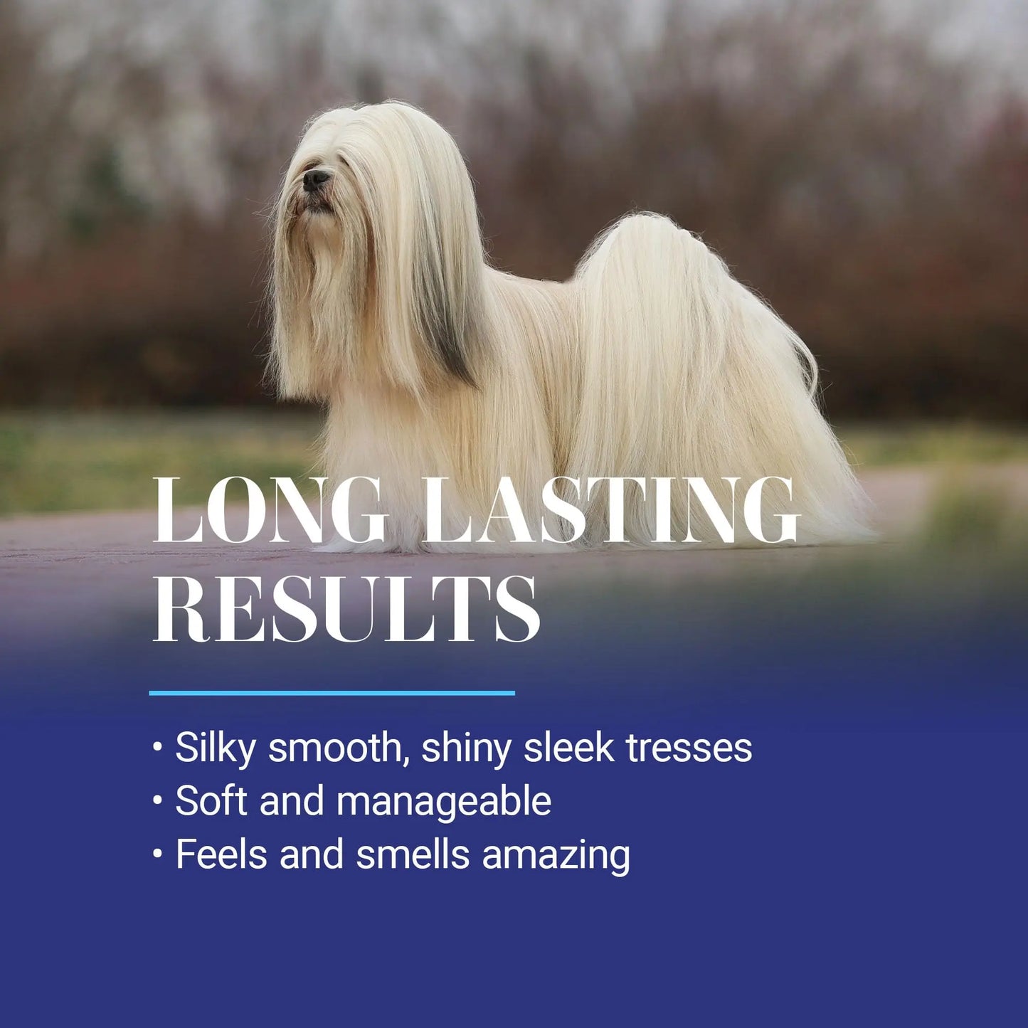 Chris Christensen Ice on Ice Strengthening Dog Shampoo, Groom Like Professional, Revives Dry, Damaged Coats & Strands, All Coat Types 473 ML Chris Christensen