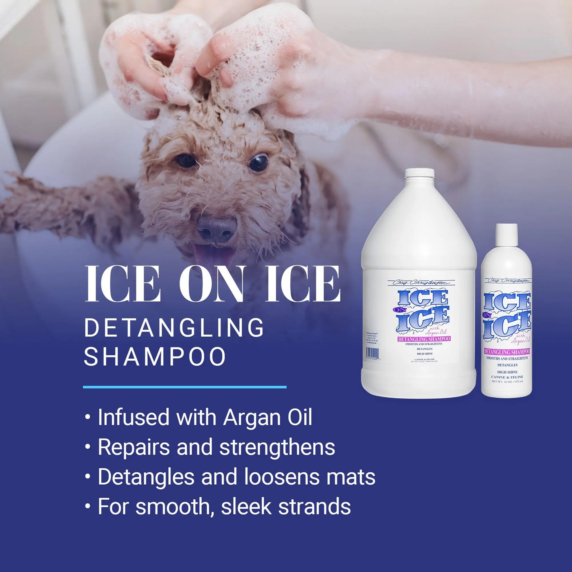 Chris Christensen Ice on Ice Strengthening Dog Shampoo, Groom Like Professional, Revives Dry, Damaged Coats & Strands, All Coat Types 473 ML Chris Christensen