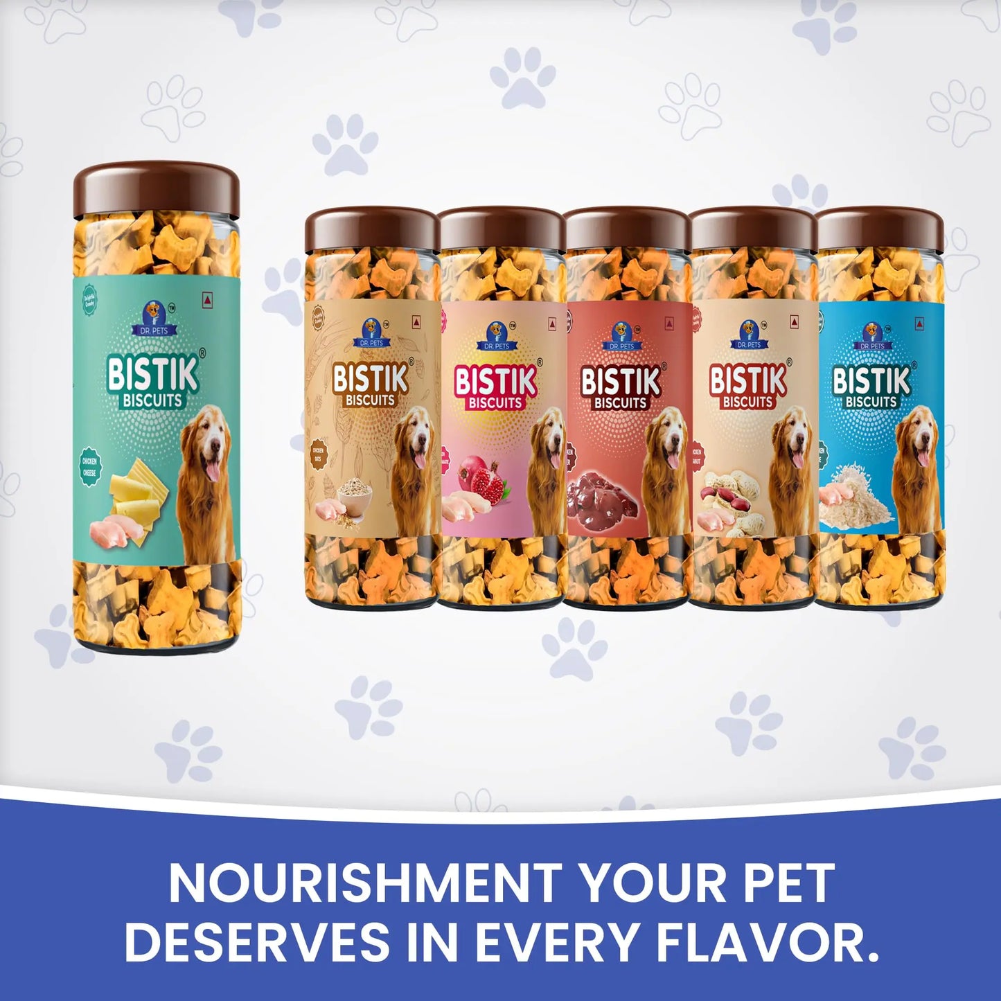 Dr.Pets Bistik Dog Food Treat - Dog Biscuits for Adult Dog & Puppy, Gluten Free Healthy Treats with Fresh & Natural Ingredients, Chicken Cheese Flavor 450g Each Pack of 2 Dr.Pets