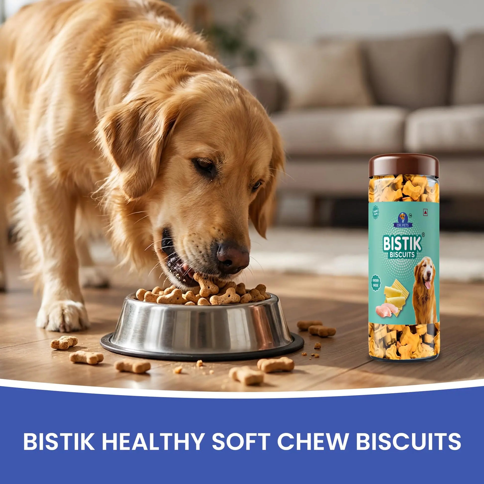 Dr.Pets Bistik Dog Food Treat - Dog Biscuits for Adult Dog & Puppy, Gluten Free Healthy Treats with Fresh & Natural Ingredients, Chicken Cheese Flavor 450g Each Pack of 2 Dr.Pets