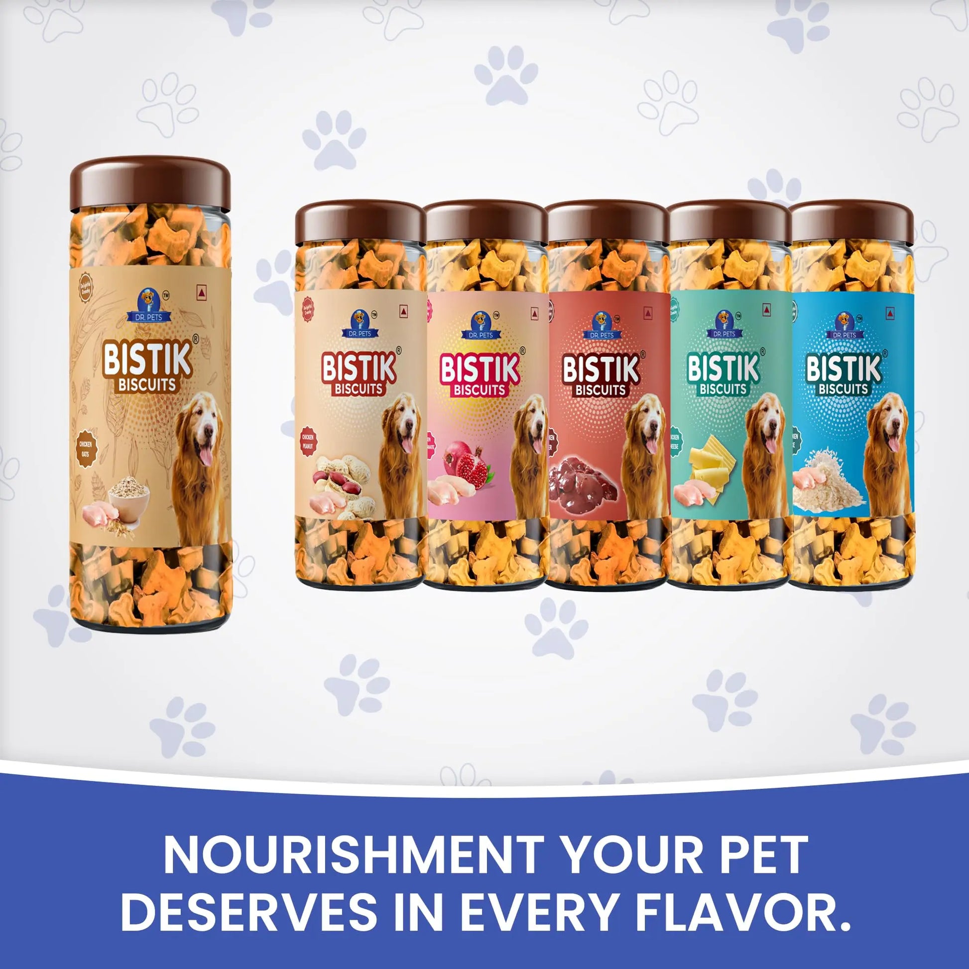 Dr.Pets Bistik Dog Food Treat - Dog Biscuits for Adult Dog & Puppy, Gluten Free Healthy Treats with Fresh & Natural Ingredients, Chicken Oats Flavor 450g Pack of 1 Dr.Pets