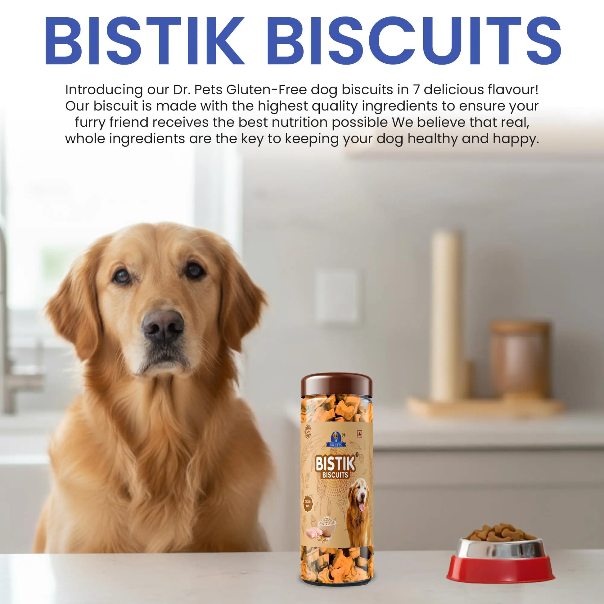 Dr.Pets Bistik Dog Food Treat - Dog Biscuits for Adult Dog & Puppy, Gluten Free Healthy Treats with Fresh & Natural Ingredients, Chicken Oats Flavor 450g Pack of 1 Dr.Pets