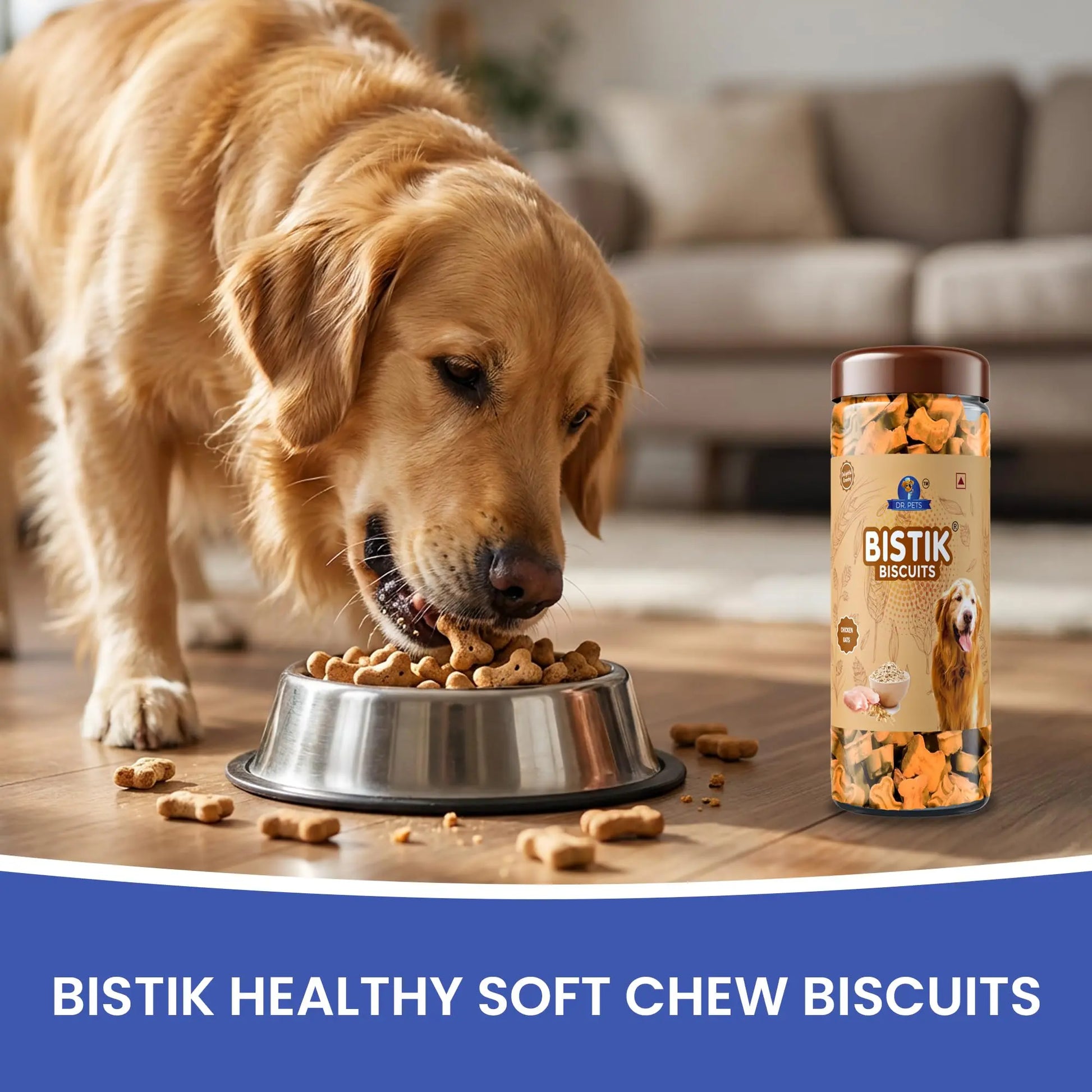 Dr.Pets Bistik Dog Food Treat - Dog Biscuits for Adult Dog & Puppy, Gluten Free Healthy Treats with Fresh & Natural Ingredients, Chicken Oats Flavor 450g Pack of 1 Dr.Pets