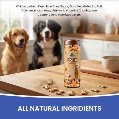 Dr.Pets Bistik Dog Food Treat - Dog Biscuits for Adult Dog & Puppy, Gluten Free Healthy Treats with Fresh & Natural Ingredients, Chicken Oats Flavor 450g Pack of 1 Dr.Pets