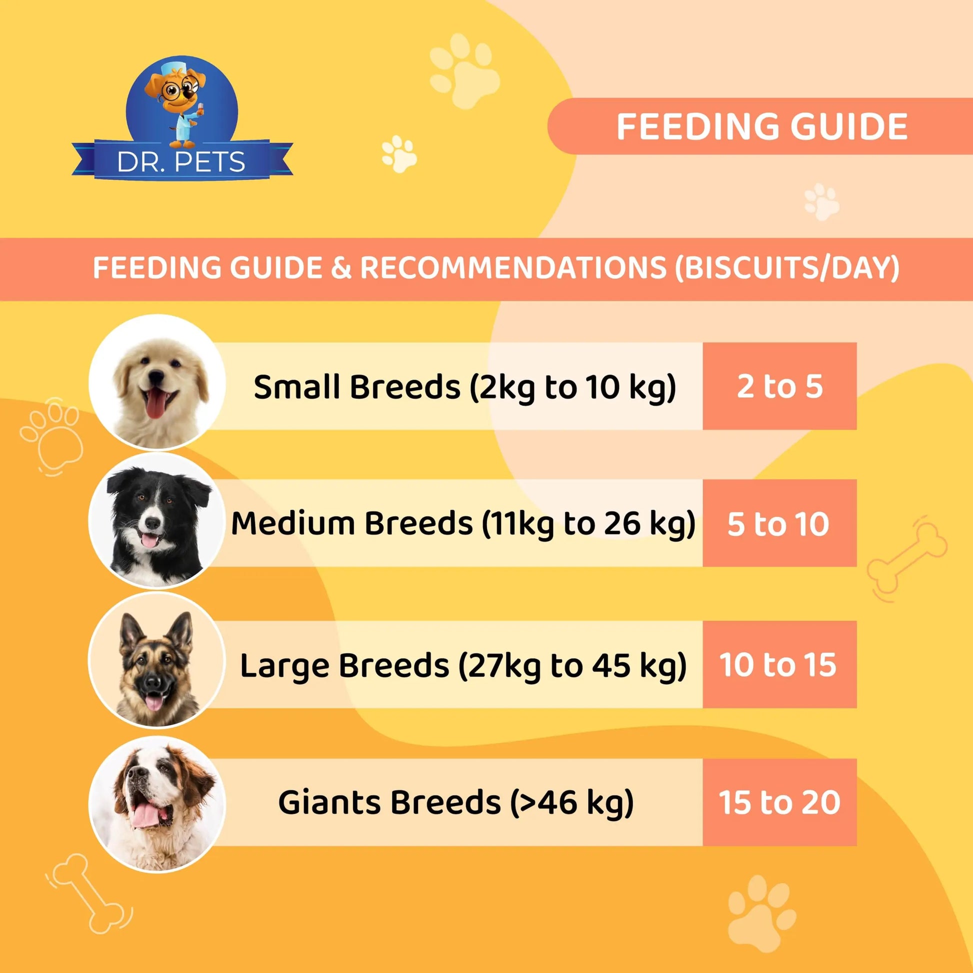 Dr.Pets Bistik | Dog Biscuits for Adult Dog & Puppy Biscuits | Banana Oats, Apple Banana Flavor | Gluten Free, Non Veg Treats with Natural Ingredients | Healthy Snacks for Dogs | 900g Each (Pack 2) Dr.Pets