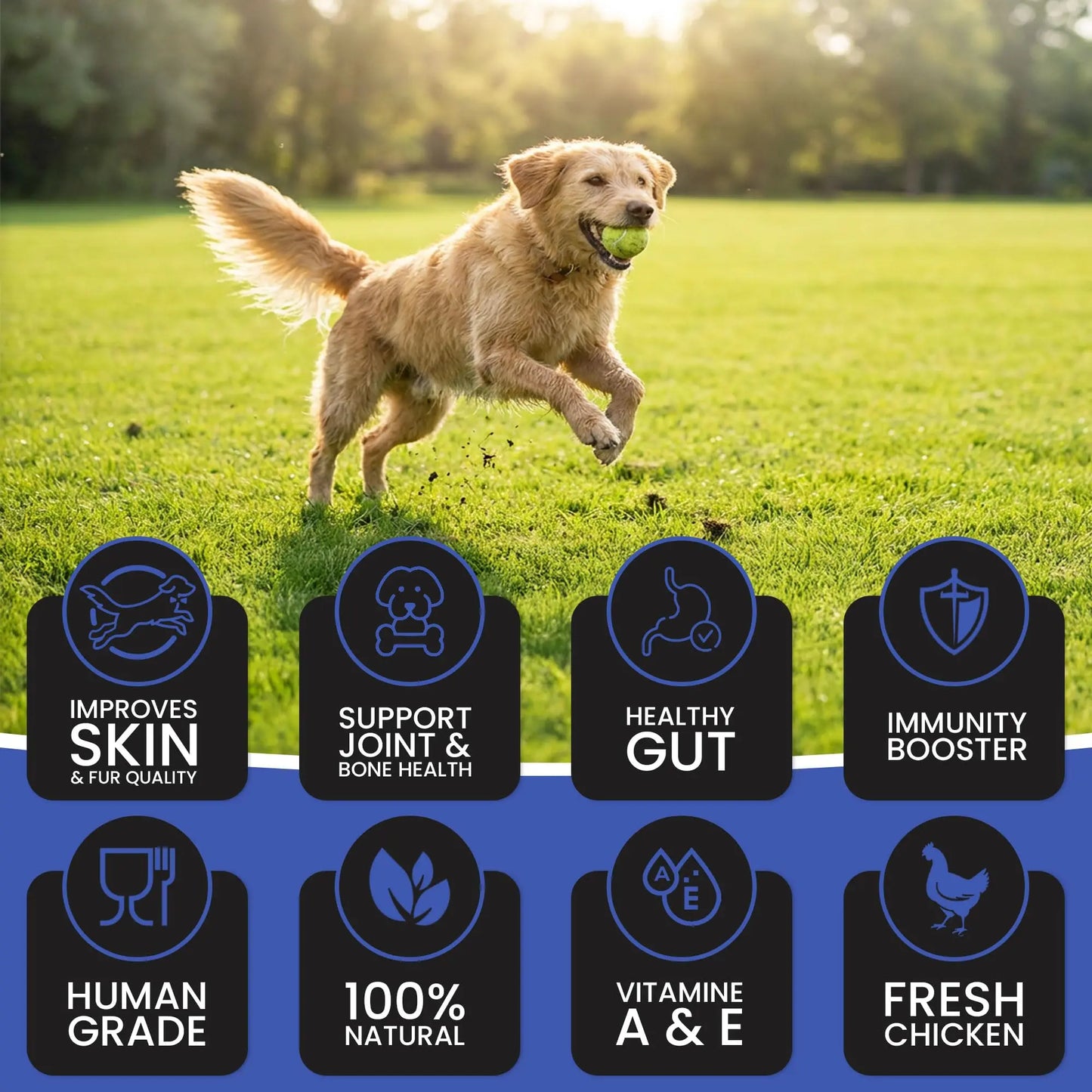 Dr.Pets Gluten & Preservative Free Dog Wet Food (Gravy) | Balanced Meal with High Protein Chicken & Liver Chunks for Adult Dogs & Puppies | No Added Sugar & Paraben | 85 g (Pack of 12) Dr.Pets