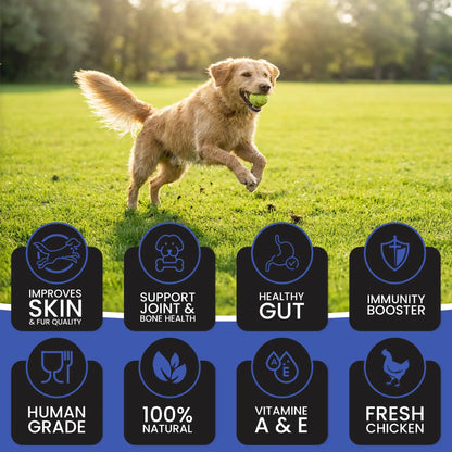 Dr.Pets Gluten & Preservative Free Dog Wet Food (Gravy) | Balanced Meal with High Protein Chicken & Liver Chunks for Adult Dogs & Puppies | No Added Sugar & Paraben | 85 g (Pack of 12) Dr.Pets