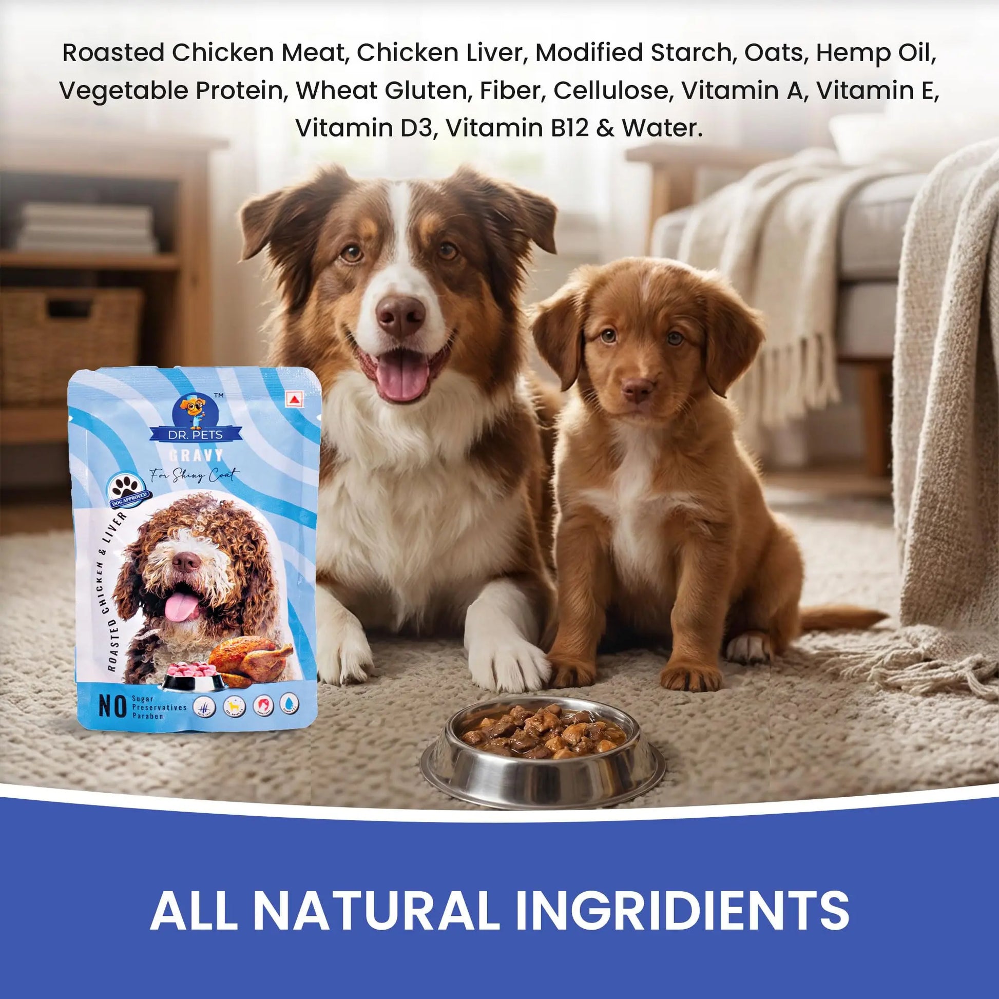 Dr.Pets Gluten & Preservative Free Dog Wet Food (Gravy) | Balanced Meal with High Protein Chicken & Liver Chunks for Adult Dogs & Puppies | No Added Sugar & Paraben | 85 g (Pack of 12) Dr.Pets