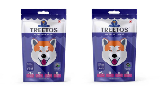 Dr.Pets Treetos Dog Food, Chicken Sticks for Dog Chew Stick for All Life Stages, Dog Treats for Adult Dog & Puppies, Gluten-Free, Soft & Chewy Texture, Blueberry Blast Flavor 85g Pack of 2 Dr.Pets
