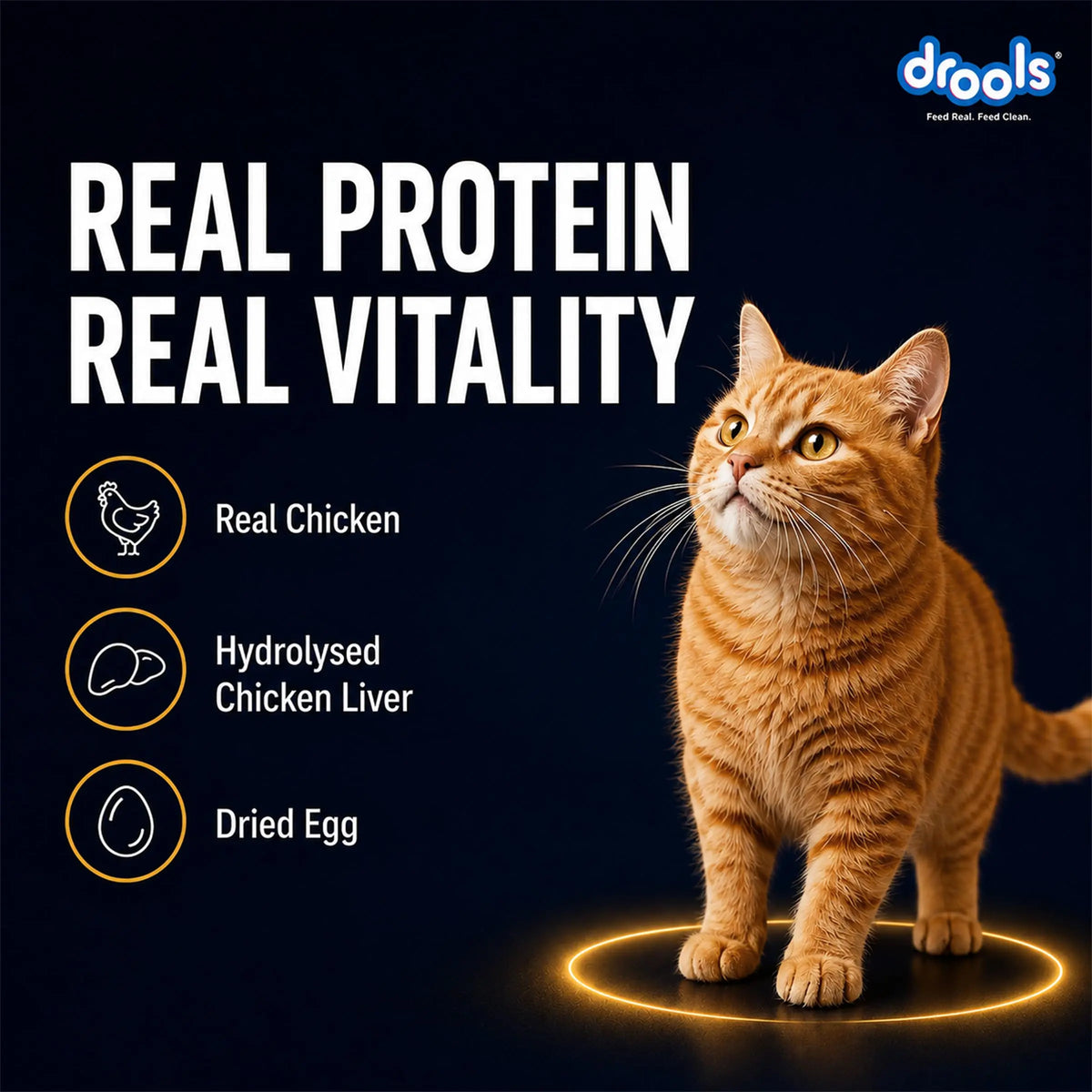 Drools Adult Cat Wet Mousse 80g Pack of 5, Total 400g | Chicken Flavour | Rich in Protein | Promotes Hydration & Easy to Digest | Packed with Essential Vitamins & Antioxidants Drools